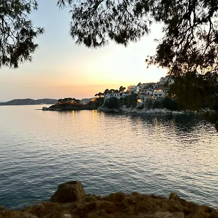 Appartement Maison Strelitzia 