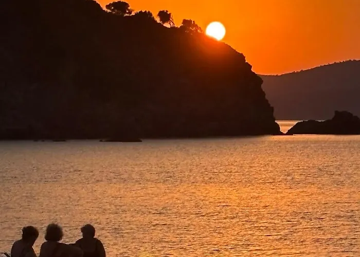 Appartement Maison Strelitzia 