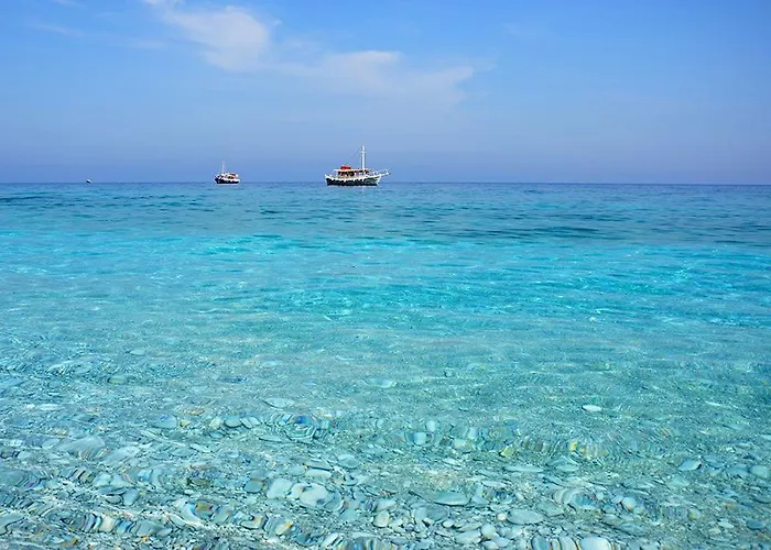 Appartement Maison Strelitzia 