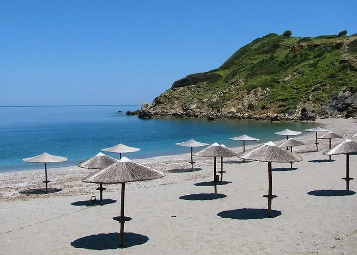 Appartement Maison Strelitzia 