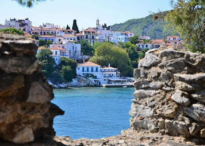 Appartement Maison Strelitzia 