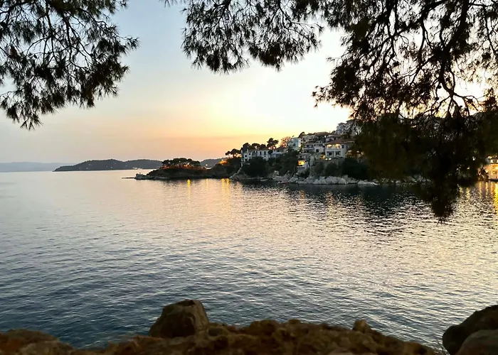 Appartement Maison Strelitzia 