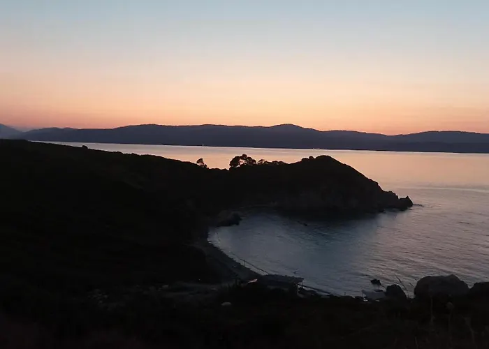 아파트 Maison Strelitzia 