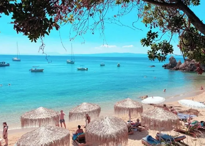 아파트 Maison Strelitzia 