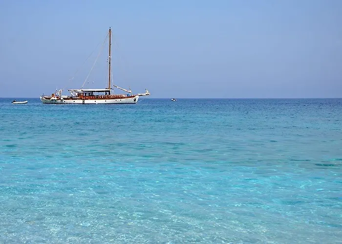 아파트 Maison Strelitzia 